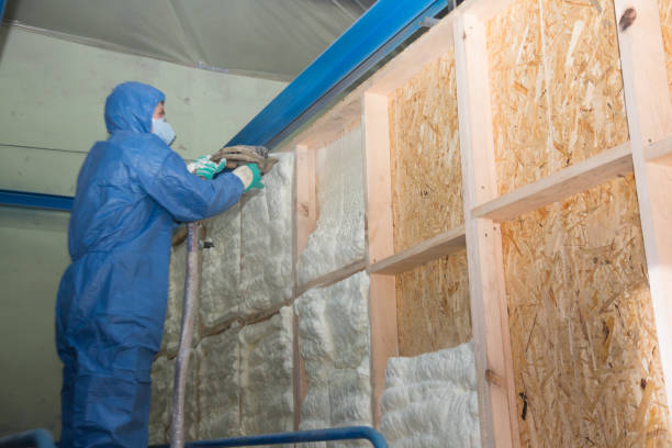 Best Professional Insulation Contractor  in Progress Village, FL